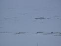Norway 052